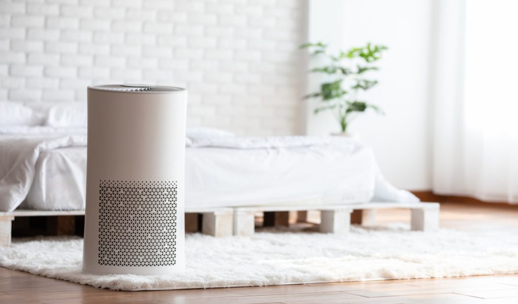 Bio-Hacking Udara Jakarta: Benarkah Smart-Purifier Berbasis Mycelium Lebih Ampuh dari Filter HEPA?
