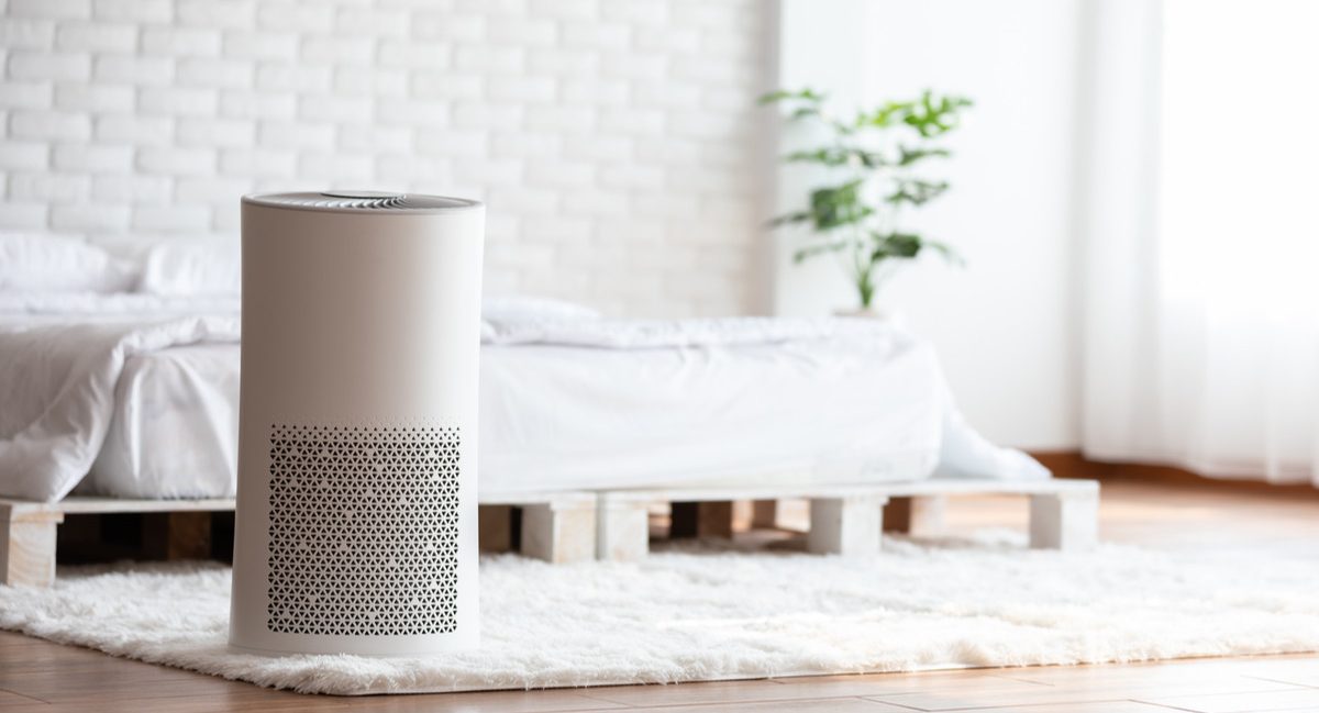 Bio-Hacking Udara Jakarta: Benarkah Smart-Purifier Berbasis Mycelium Lebih Ampuh dari Filter HEPA?