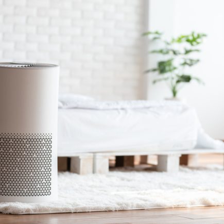 Bio-Hacking Udara Jakarta: Benarkah Smart-Purifier Berbasis Mycelium Lebih Ampuh dari Filter HEPA?
